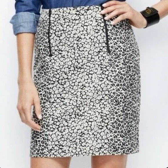 Ann Taylor Dresses & Skirts - Ann Taylor Women’s Skirt